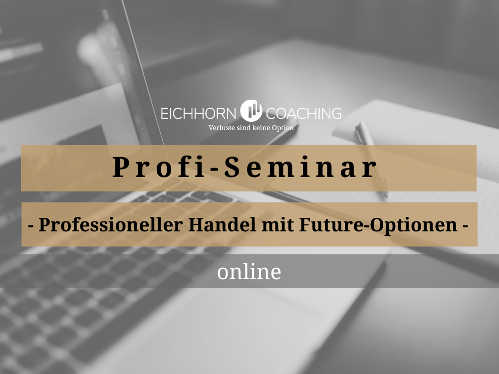 Profi-Seminar - Professioneller Handel mit Future-Optionen