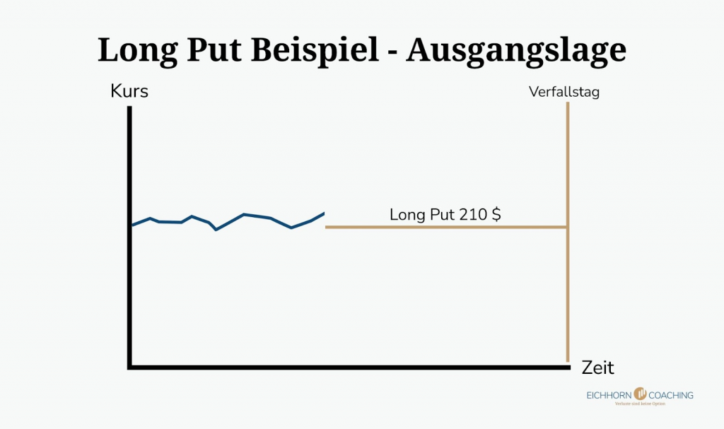 Long Put Beispiel